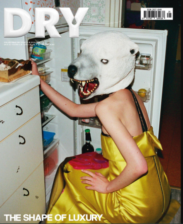 COLLECTIBLE_DRY_ISSUE_25_COVER_2