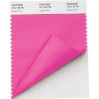 Pantone ®  NYLON BRIGHTS SWATCH CARD (TN/NYLON)