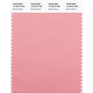 PANTONE-POLYESTER-SWATCH-CARD