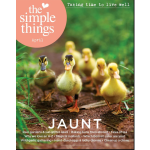 THE-SIMPLE-THINGS-APRILE-2025-NR-154-JAUNT