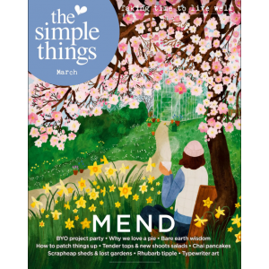 THE-SIMPLE-THINGS-MARZO-2025-NR-153-MEND