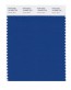 Pantone-swatch-card-scheda-colore-tcx-classic-blue