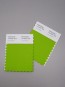 SAMPLE-PANTONE-COLOR