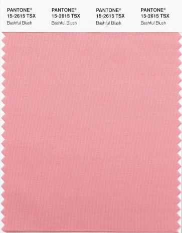 Pantone ® SYNTHETIC SWATCH CARDS (TSX/POLYESTER)