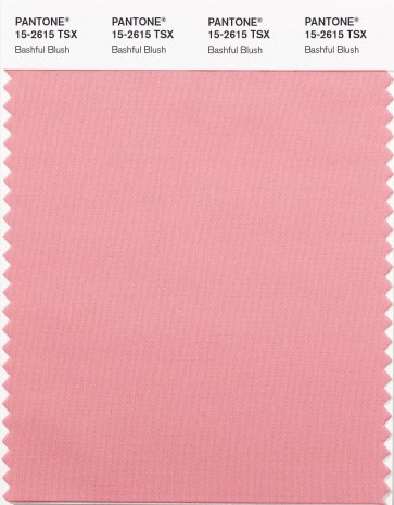 Pantone ® SYNTHETIC SWATCH CARDS (TSX/POLYESTER)
