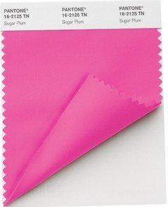 Pantone ®  NYLON BRIGHTS SWATCH CARD (TN/NYLON)