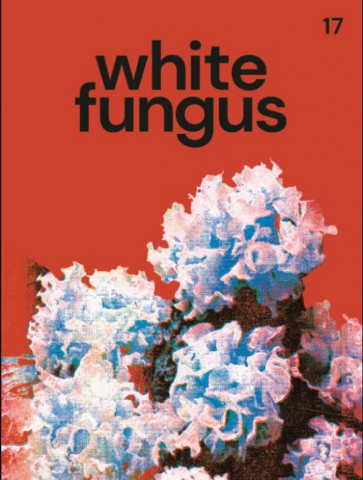 white-fungus-17