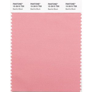 Pantone ® SYNTHETIC SWATCH CARDS (TSX/POLYESTER)