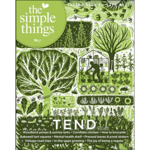THE-SIMPLE-THINGS-MAGGIO-2025-NR-155