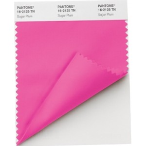 Pantone ®  NYLON BRIGHTS SWATCH CARD (TN/NYLON)