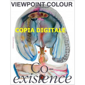 VIEWPOINT-COLOUR-VERSIONE-ON-LINE