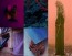 TENDENZA-COLORI-PANTONE-VIEW-COLOUR-PLANNER-immagine-archivio-2023